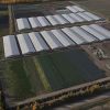 Imagen de Empezaron vendiendo en la feria y hoy producen hortalizas en 100 hectáreas y 20 invernaderos en la Patagonia