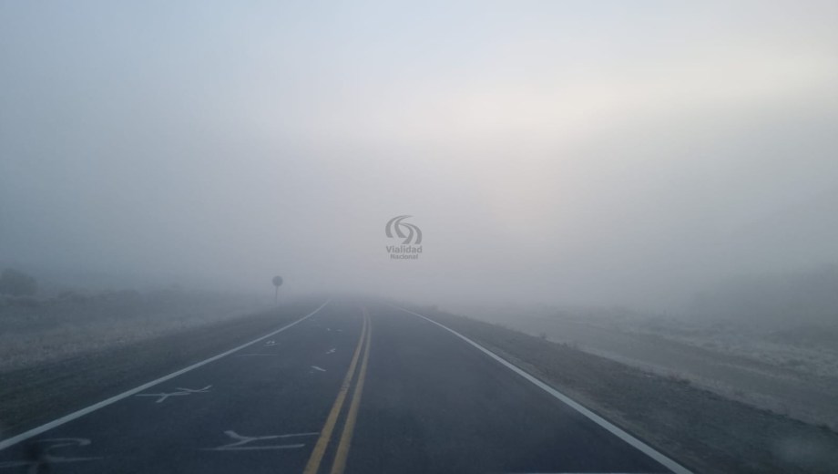 Niebla en la Ruta 237. Foto: gentileza.