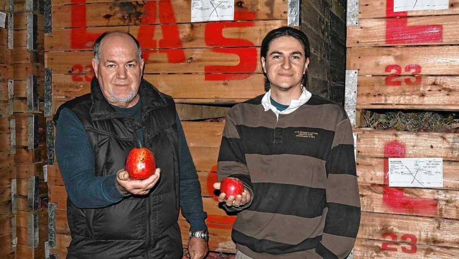 Actualmente, la empresa familiar Eco del Valle SRL cuenta con una capacidad para conservar cerca de 9 millones de kilos de fruta. Foto: Juan Thomes. 