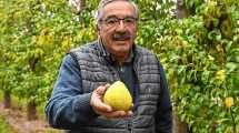 Imagen de De familia de viñateros, a los 72 años sigue apostando a la producción de peras y manzanas en la Patagonia