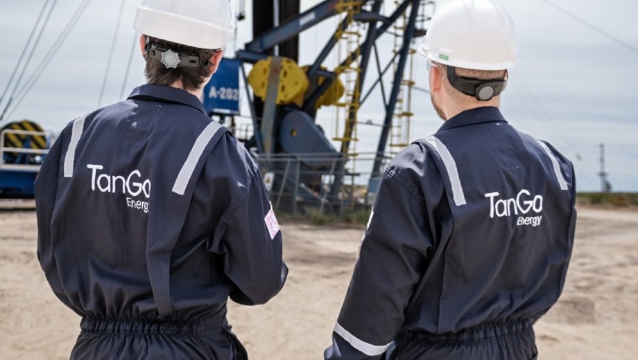 TanGo Energy desembarca en Vaca Muerta. 