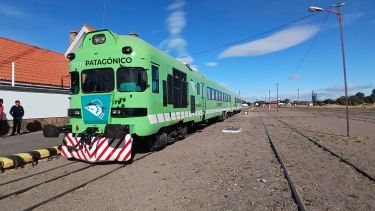 Vuelve el tren que une la estepa con la cordillera: el TER retoma su recorrido en Río Negro
