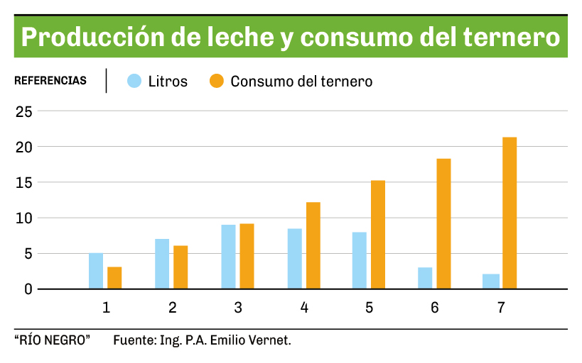 WEB - Producción de leche y consumo del ternero.jpg