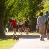Imagen de Feria artesanal en la costanera: la nueva propuesta que suma Viedma los fines de semana