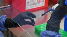 Imagen de Crean el primer test rápido del mundo para detectar la cepa Andes del hantavirus de la Patagonia