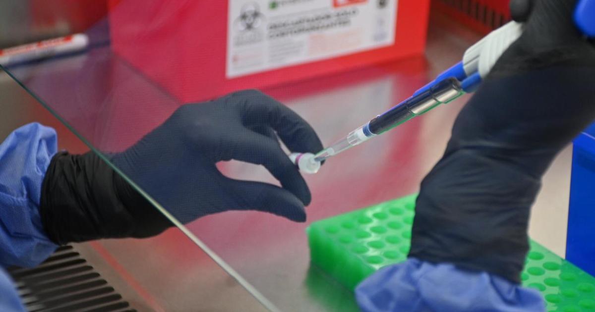 Desarrollan el primer test rápido para detectar el hantavirus Andes en Patagonia