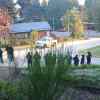 Imagen de Tercer día de búsqueda para encontrar a Analia Corte en Bariloche: suman canes y piden las cámaras durante un horario clave