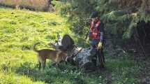 Imagen de Tercer día de búsqueda para encontrar a Analía Corte en Bariloche: suman canes y piden las cámaras durante un horario clave
