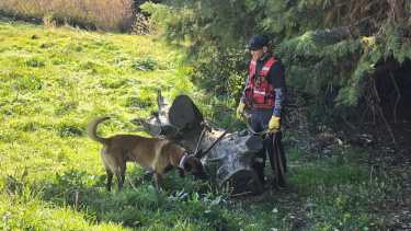 Tercer día de búsqueda para encontrar a Analía Corte en Bariloche: suman canes y piden las cámaras durante un horario clave