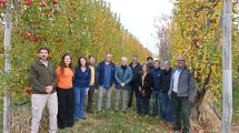 Imagen de Agricultura regenerativa en Argentina: presentaron en la Patagonia los avances del plan para potenciar el desarrollo agropecuario
