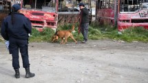 Imagen de Bariloche: peritos tratan de confirmar si los restos humanos hallados corresponden a Ana Lía Corte
