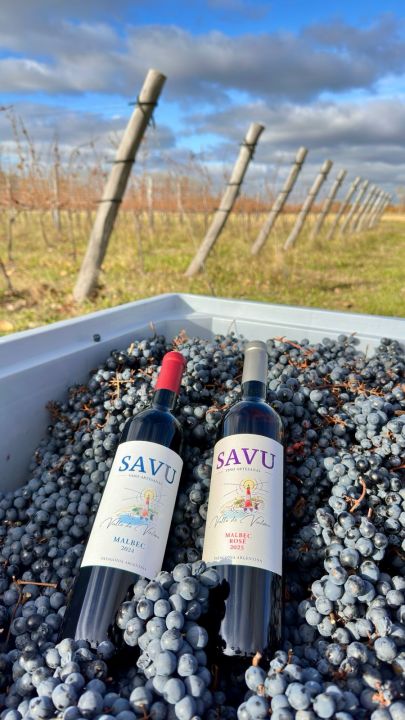 Botellas de la marca SAVU, el vino artesanal producido en el Valle de Viedma. Foto: gentileza.