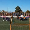 Imagen de Incidentes en el clásico de Roca: los hinchas se enfrentaron en el campo de juego