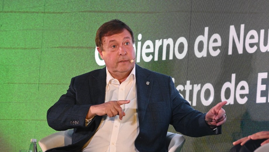 Weretilneck contó el pedido de un área sobre Vaca Muerta en Río Negro que hizo la firma norteamericana Continental Resources.