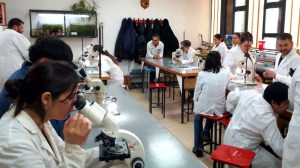 Cómo enseñar a pensar: el proyecto que debate pseudociencias en escuelas secundarias en Bariloche