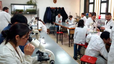 Cómo enseñar a pensar: el proyecto que debate pseudociencias en escuelas secundarias en Bariloche