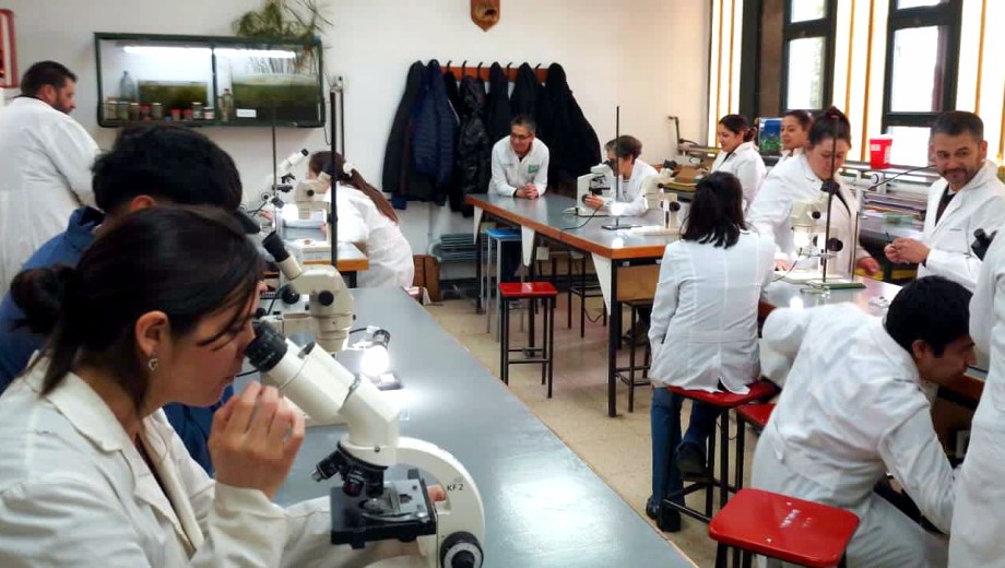 "La ciencia en vivo" para los chicos. Foto: gentileza