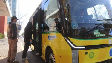 «Fueron furor»: empezaron a circular los nuevos colectivos eléctricos en Neuquén con gran repercusión de los vecinos