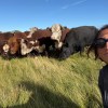 Imagen de La mujer que impuso su sello en la ganadería bovina de la Patagonia: "Esto es mi vida"
