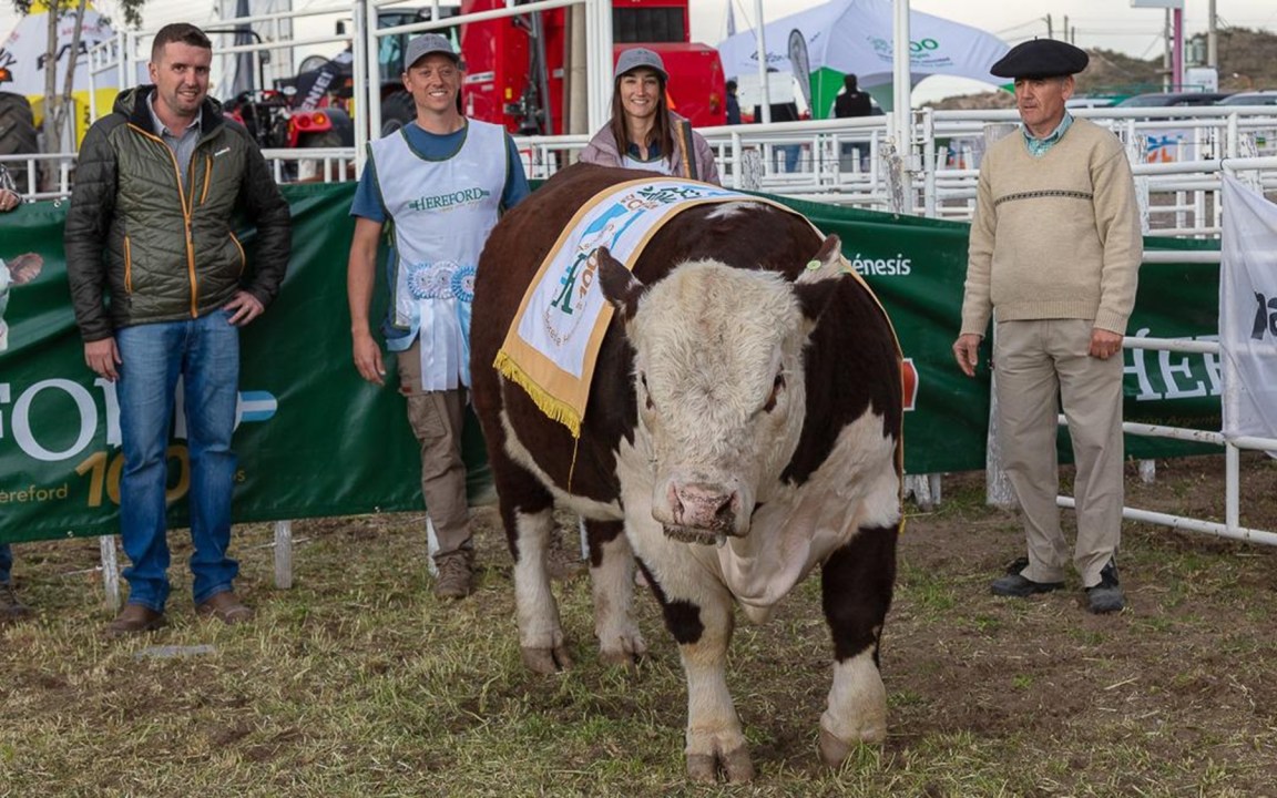 De la tradici&oacute;n familiar a la innovaci&oacute;n ganadera en Chubut