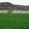 Imagen de Cómo es la obra de US$ 14 millones que busca potenciar la Margen Norte de Río Negro