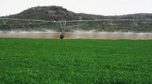 Imagen de Cómo es la obra de US$ 14 millones que busca potenciar la Margen Norte de Río Negro