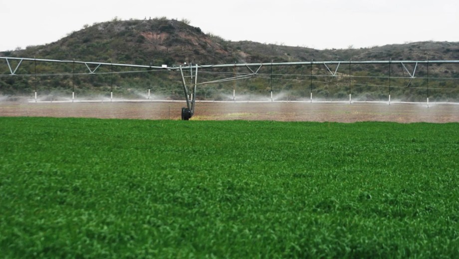 La nueva obra energética que promete resolver un problema histórico en Guardia Mitre. Foto: gentileza.