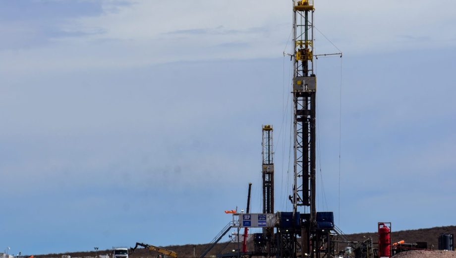 YPF, Pan American Energy, Vista y Pampa Energía son algunas de las petroleras que presentaron proyectos al RIGI. (Foto: Matías Subat)