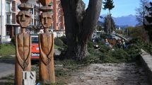 Imagen de La Municipalidad de Bariloche salió al cruce de la infracción y defendió la extracción de pinos en la Costanera