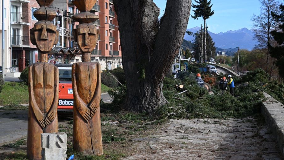 Sigue la polémica por el volteo de decenas de árboles que estaban ubicados a lo largo de la avenida 12 de Octubre en la Costanera de Bariloche. (Foto de archivo de Alfredo Leiva)