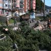 Imagen de Sancionaron a la Municipalidad de Bariloche por el volteo de pinos de la Costanera