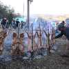 Imagen de Los platos más pedidos en la Fiesta del Chef Patagónico: los gustos y la oferta más variada