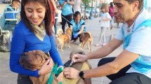 Imagen de Vacunación gratuita para personas y perros en Neuquén: cuándo y dónde será la jornada