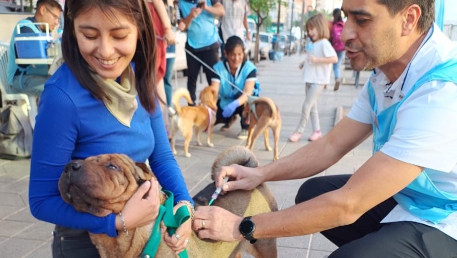 Vacunación petfriendly en Neuquén