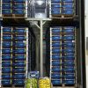 Imagen de "Frutas en su punto justo": con las bananas y una tecnología inédita en la Patagonia, Tres Ases marca un hito