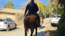 Imagen de Rastrillajes en el centro de Bariloche en la búsqueda de Analía Corte: el dato clave que siguen los investigadores