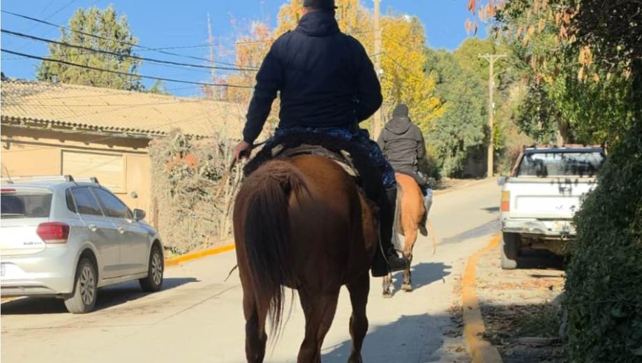 Sigue la búsqueda de Analía Corte en Bariloche. Foto: Gentileza Policía de Río Negro. 