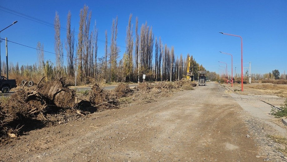 La obra fue adjudicada mediante la licitación pública y tendrá un plazo de ejecución de 150 días corridos. Foto: municipio de Cipolletti.
