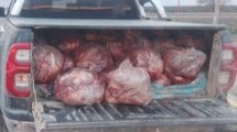 Imagen de Secuestraron una camioneta cargada con 850 kilos de carne de guanaco en Las Grutas