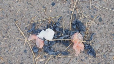 Detuvieron a un joven con 27 dosis de cocaína tras una persecución en Valentina Sur de Neuquén