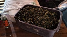 Imagen de Un control sobre Ruta 22 destapó una trama narco entre Neuquén y Río Negro: 14 kilos de marihuana y dos imputados