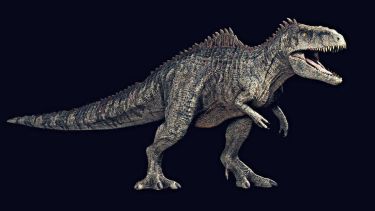 Dinosaurios de la Patagonia: su extinción no fue abrupta, llevó miles de años