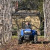 Imagen de Tiene 74 años y mantiene viva la chacra que su familia eligió hace un siglo para producir fruta en la Patagonia