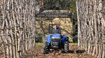 Imagen de Tiene 74 años y mantiene viva la chacra que su familia eligió hace un siglo para producir fruta en la Patagonia