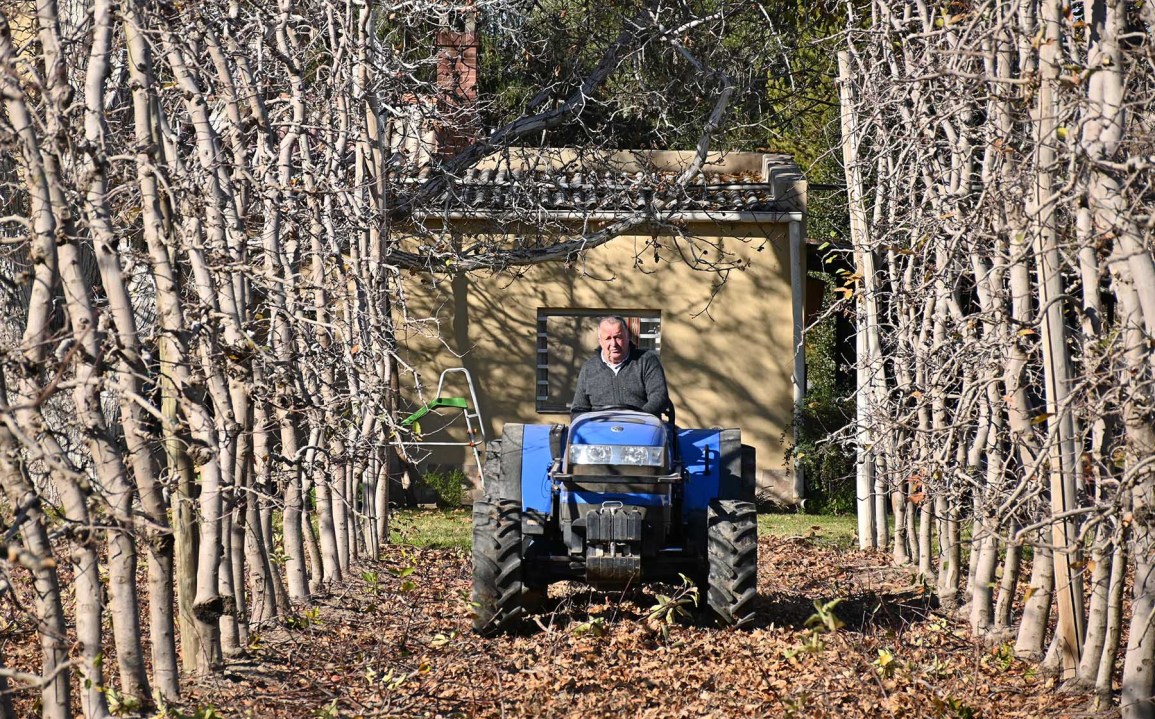 Eduardo Artero, a bordo de su tractor: recorrer las chacras sigue siendo, a sus 74 años, parte de su rutina diaria.