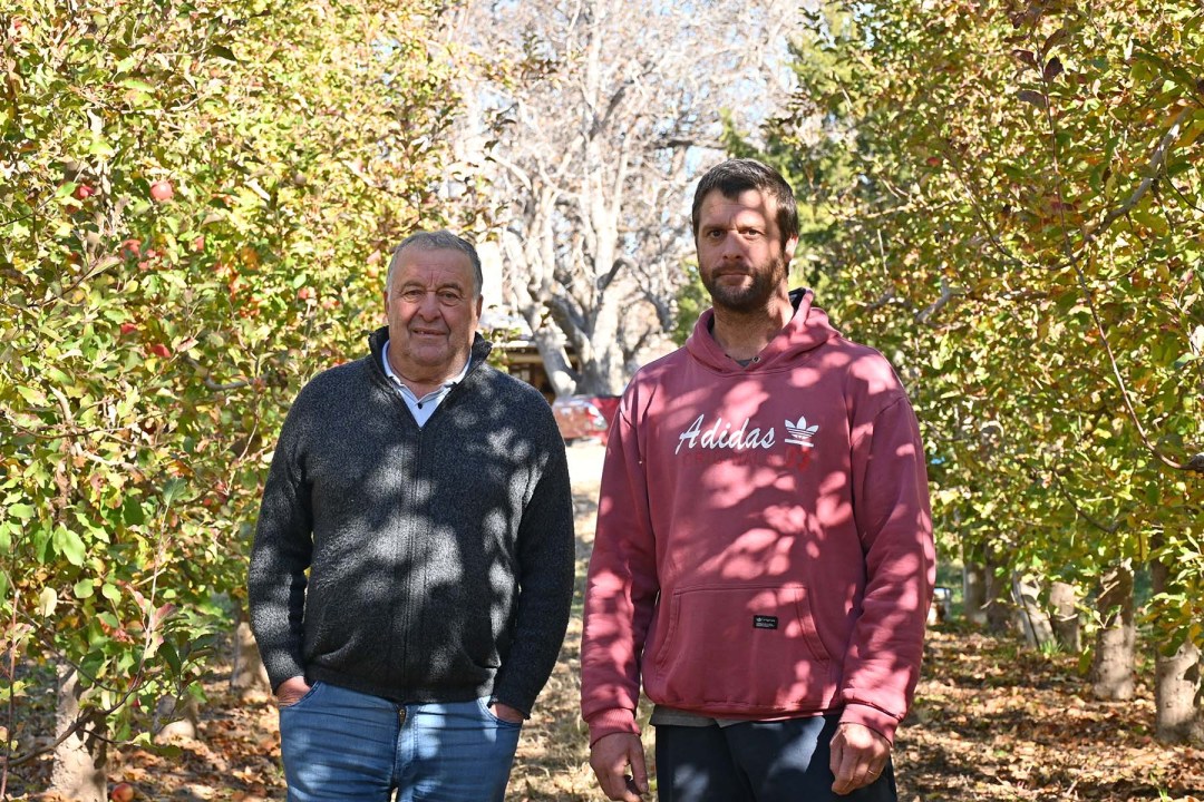 Eduardo Artero y su hijo Sebastián, cuarta y quinta generación de una familia dedicada a la fruticultura del Alto Valle hace un siglo.