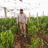 Imagen de Aniversario de San Patricio del Chañar: la obra que permitirá convertir frutas y hortalizas en productos con sello local