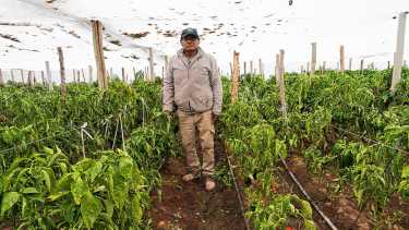 Aniversario de San Patricio del Chañar: la obra que permitirá convertir frutas y hortalizas en productos con sello local
