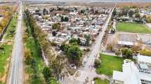 Imagen de Aniversario de San Patricio del Chañar: el desafío de expandirse sin resignar su perfil verde y productivo