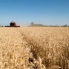 Imagen de Las exportaciones crecieron un 45% su volumen desde 2023: la suba que empujó el sector agroindustrial este cuatrimestre